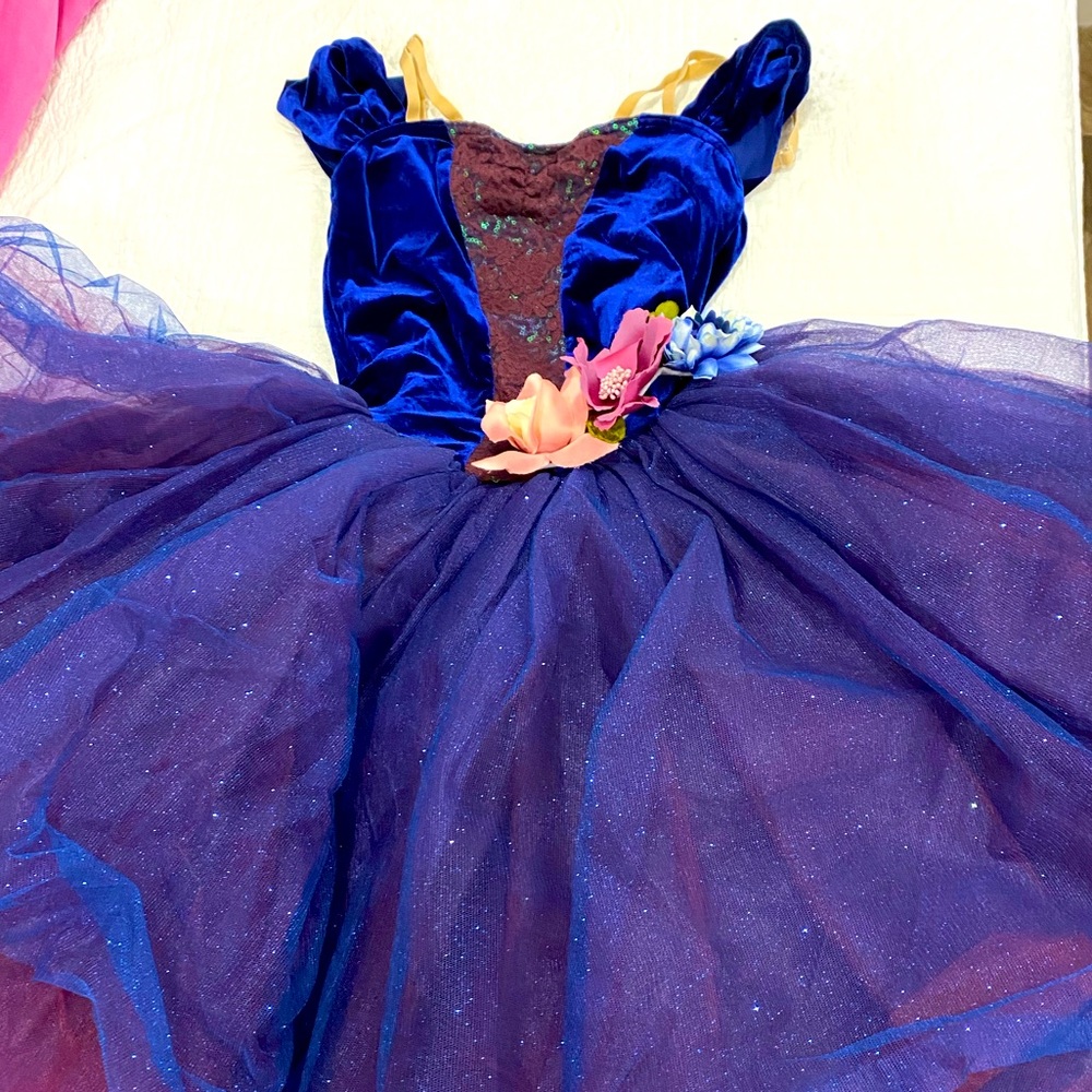 Weissman Ballet Costume Recital. Adult Small!
